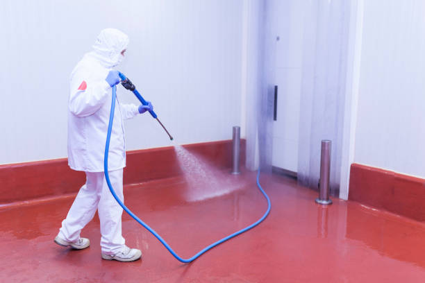 Boat and Dock Cleaning in Johnston, SC